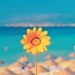 FPGA发烧友